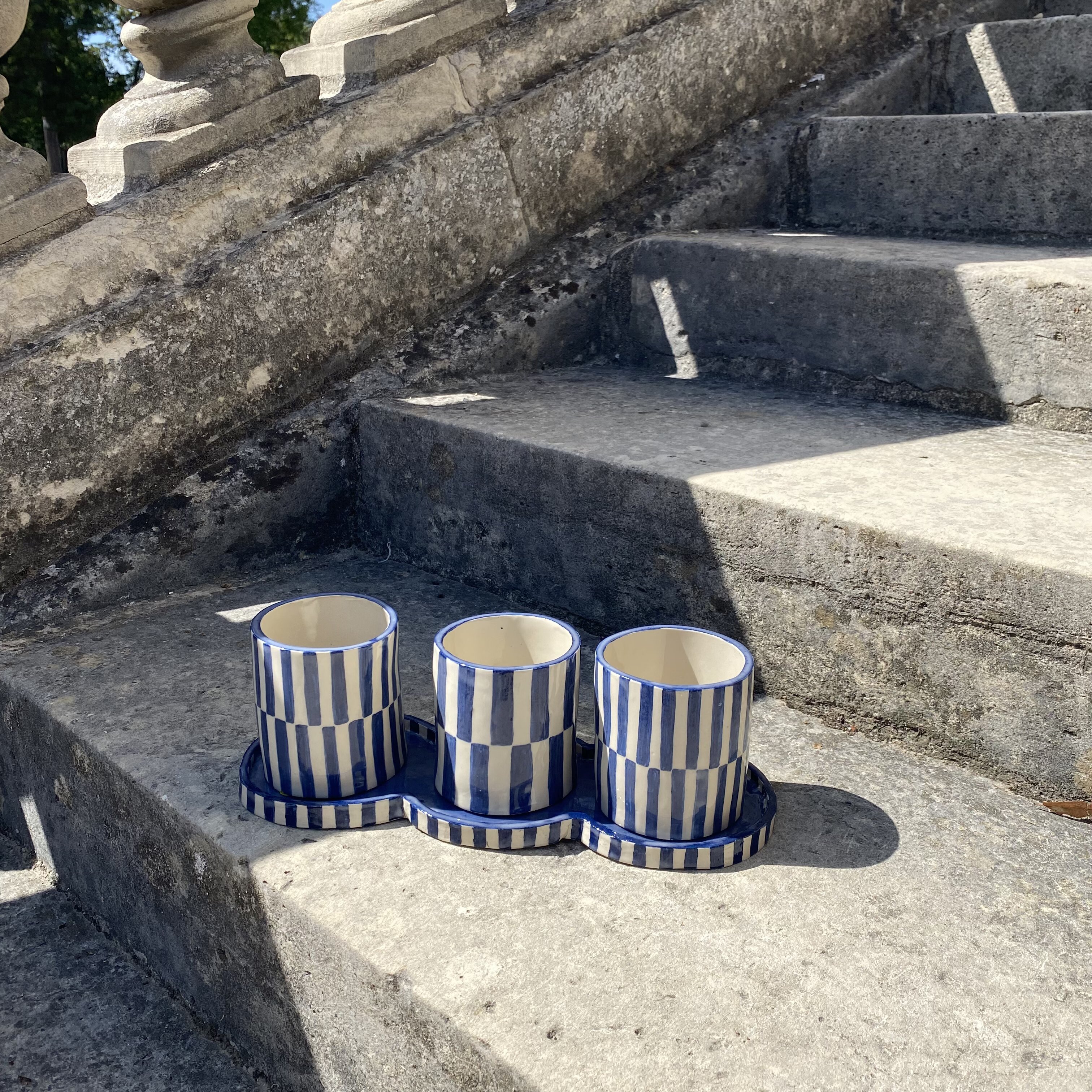 Aromatic plant pots and tray